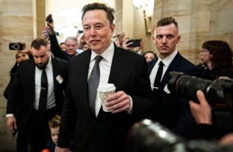 DOGE Is Coming for Your Social Safety, States Put together to Sue