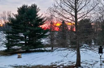 The Little Issues E-newsletter #455 – Life, laughter, and many nice meals!