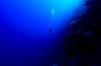 A Mysterious Donor Is Funding an Effort to Construct a ‘Everlasting Human Settlement’ Underwater