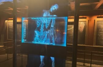 Epic Universe’s Finest Experience Would possibly Simply Come From the Darkish Universe