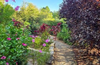 The Little Issues E-newsletter #486 – Life, laughter, and many nice meals!