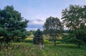 The Little Issues E-newsletter #485 – Life, laughter, and many nice meals!