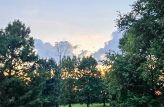 The Little Issues Publication #488 – Life, laughter, and many nice meals!