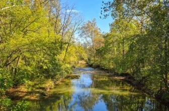 The Little Issues E-newsletter #490 – Life, laughter, and many nice meals!